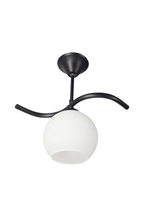 Fuji Siyah Tekli Beyaz Camlı Avize | Kaliteli Modern Metal Avize