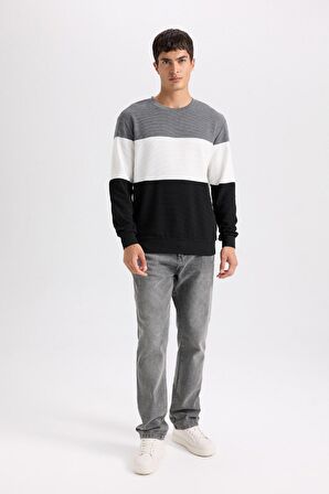 Regular Fit Bisiklet Yaka Jakarlı Sweatshirt