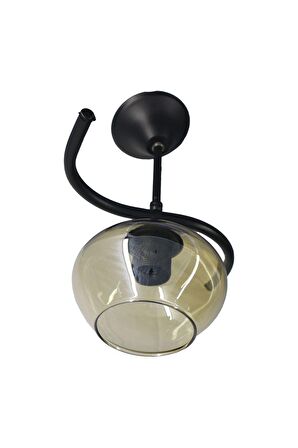 Fuji Siyah Tekli Bal Yatsı Camlı Avize | Kaliteli Modern Metal Avize