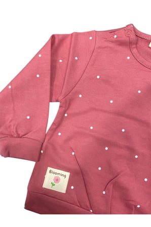 Sweatshirt Tuffy Asortili 6-9 AY
