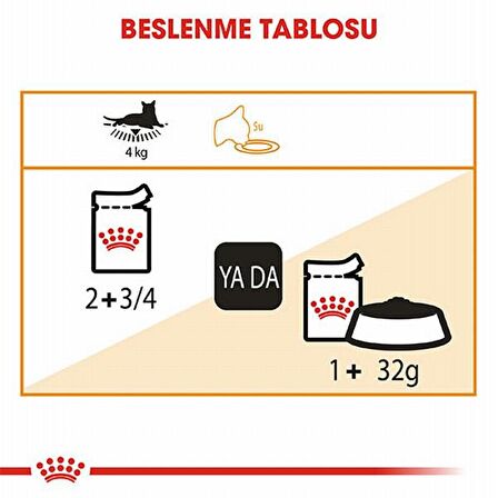 Royal Canin İntense Beauty Jelly Yetişkin Kedi Konserve 12x85 Gr 