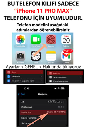 iPhone 11 Pro Max Uyumlu Atatürk İstiklal Panoraması Baskılı Silikon Kılıf
