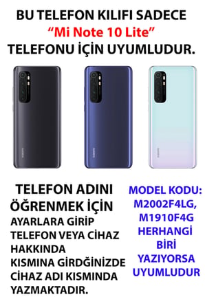 Mi Note 10 Lite Uyumlu Atatürk İstiklal Panoraması Baskılı Silikon Kılıf