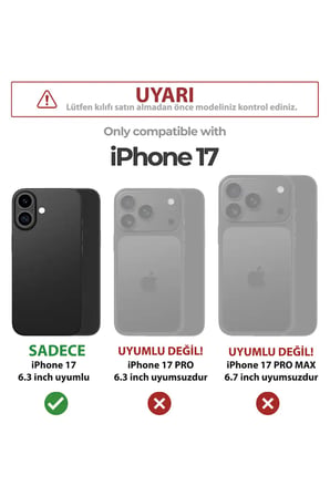 iPhone 17 Uyumlu Cupid's Dream (Eros’un Rüyası) Baskılı Silikon Kılıf