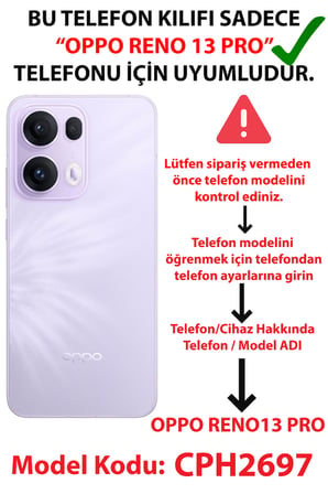OPPO Reno 13 PRO Uyumlu Mavi Çizgili ve Sarı Papatya Baskılı Silikon Kılıf