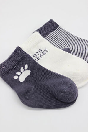 Bistyle 3'Lü Penye Soket Çorap BS10110 Antrasit