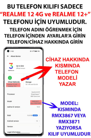 Realme 12 4G-12 Plus Uyumlu Renkli Papatyalar Sulu Boya Baskılı Silikon Kılıf