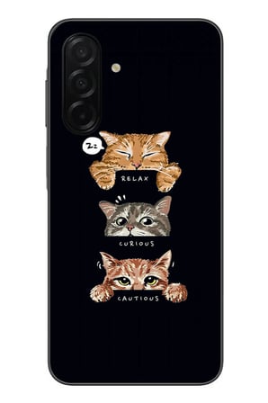 Samsung Galaxy A26 Uyumlu Kedi Halleri Baskılı Silikon Kılıf