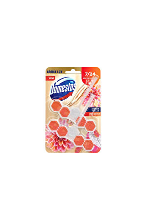 Domestos Wc Blok Yıldız Çiçeği ve Ejder Meyvesi Lux 2x5'li