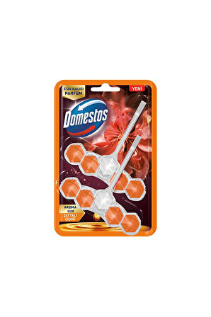 Domestos Wc Blok Şeftali Çiceği Lux 2x5'li