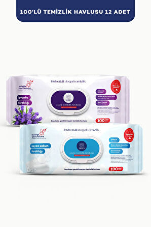 SUBO YÜZEY TEMİZLİK HAVLUSU 100 'LÜ MİX 12 X100 (6 L.FERH + 6 B.SABN.FERH )