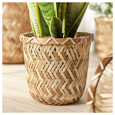 Bambu saksı, bambu, 12 cm