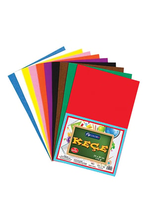 2 ADET Fly Keçe 10'lu 20x30 cm