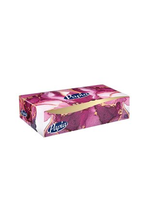 Papia 3 Kat Kutu Mendil 100'lü