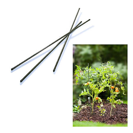Bitki Destek Çubuğu Çelik 150cm