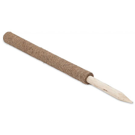 COCONUT BİTKİ ÇUBUĞU-110CM
