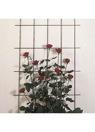 Çiçek Destek Kafesi Yeşil 60*150cm