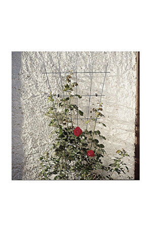 Çiçek Destek Kafesi Yeşil 150cm V Dizayn