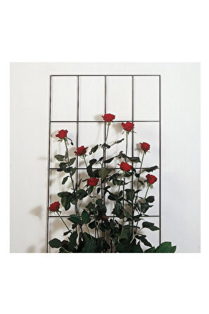 Bitki Kafesi 45*150cm Metal Plastik Kaplama