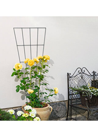 Çiçek Destek Kafesi Antrasit 150cm V Dizayn