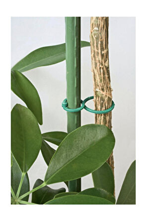 Bitki Bağlama Halkası 25 Adet Set