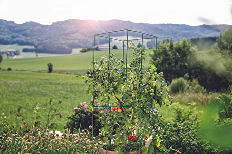 BİTKİ SARDIRMA KAFESİ, 4'LÜ PARÇA