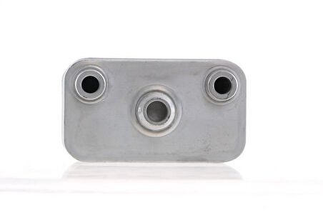 OTOMATIK SANZIMAN YAG SOGUTUCUSU BMW 105 E53 2000-2006 17207500754