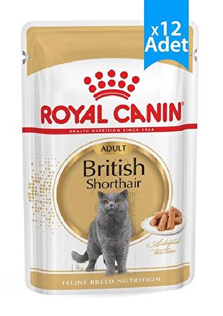 Royal Canin British Shorthair Konserve Kedi Maması 85 Gr X 12 Adet Konserve