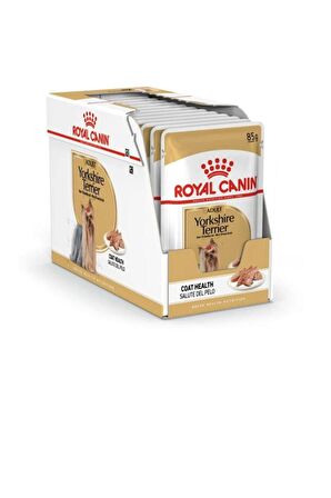 Royal Canin Kümes Hayvanlı Terrier Irkı Yetişkin Yaş Köpek Maması 12x85 gr