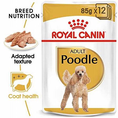 Royal Canin Kırmızı Etli Poddle Irkı Yetişkin Kuru Köpek Maması 85 gr