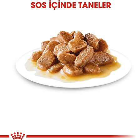 Royal Canin Kümes Hayvanlı Küçük Irk Yetişkin Yaş Köpek Maması 85 gr