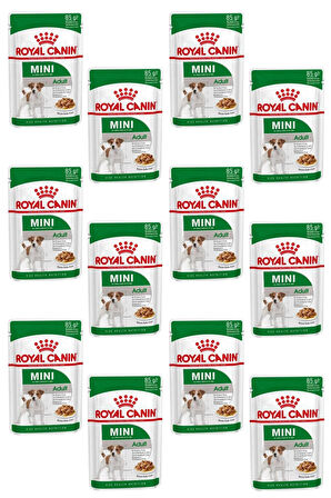 12 Adet Royal Canin Mini Adult Pouch Yetişkin Köpek Konservesi 85 Gr