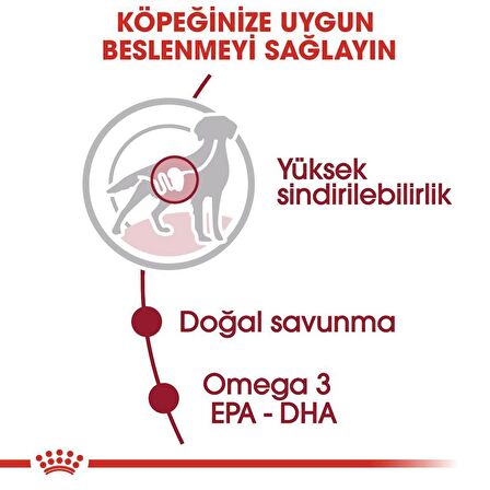 Royal Canin Medium Adult Köpek Yaş Maması 10X140 Gr