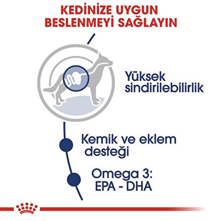 Royal Canin Maxi Adult Köpek Yaş Maması 10X140 Gr