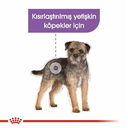 Royal Canin Sterilised Kümes Hayvanlı Tüm Irklar Kısırlaştırılmış Yaş Köpek Maması 85 gr