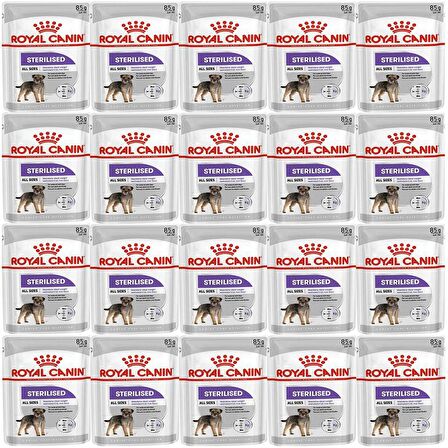 Royal Canin CCN Sterilised Pouch Köpek Yaş Maması 85gr*20 Adet