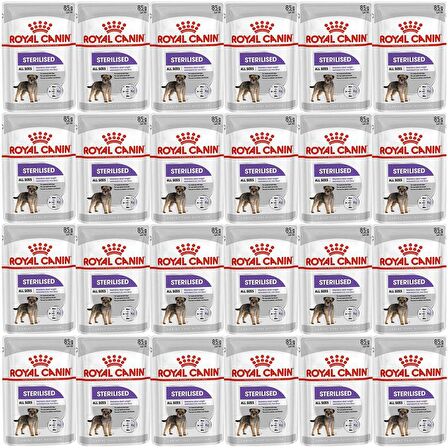 Royal Canin CCN Sterilised Pouch Köpek Yaş Maması 85gr*24 Adet