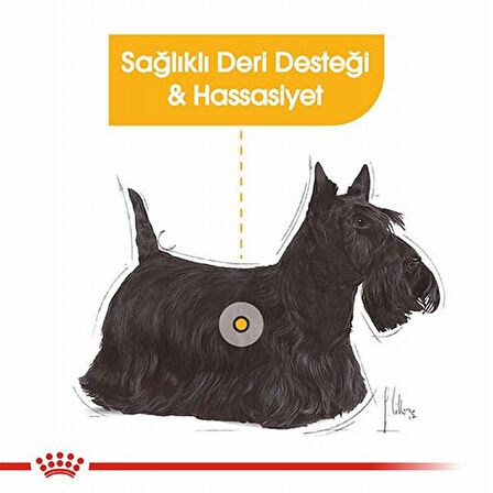 Royal Canin Dermocomfort Kümes Hayvanlı Büyük Irk Yetişkin Yaş Köpek Maması 85 gr