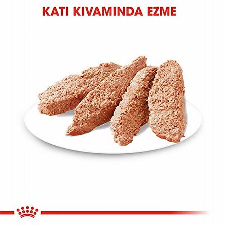 Royal Canin Dermocomfort Kümes Hayvanlı Büyük Irk Yetişkin Yaş Köpek Maması 85 gr