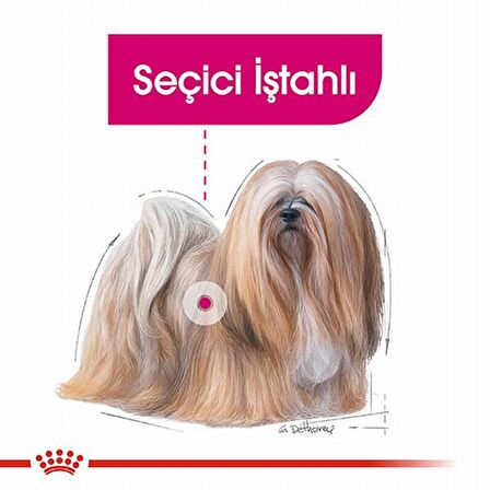 Royal Canin Pouch Exigent Tüm Irklar Yetişkin Yaş Köpek Maması 85 gr