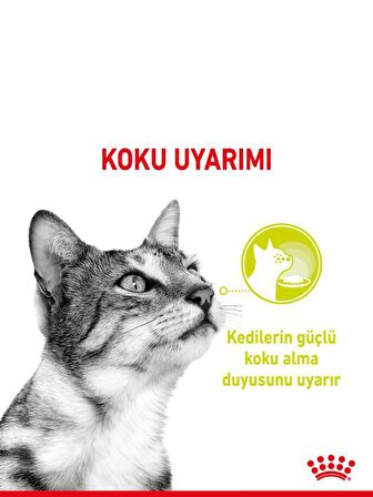 Royal Canin Sensory Smell Gravy 85 Grx12 Adet Kedi Konservesi