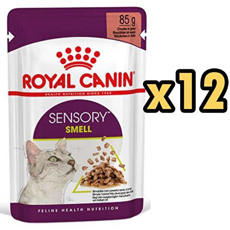 Royal Canin Sensory Smell Gravy 85 gr x 12 Adet