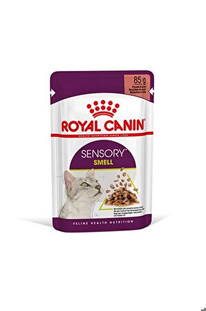  Sensory Smell in Gravy Adult Kedi Konservesi 12X85 Gr