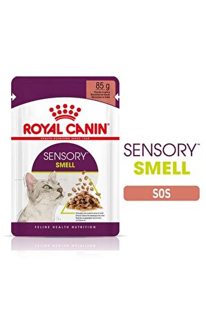  Sensory Smell in Gravy Adult Kedi Konservesi 12X85 Gr