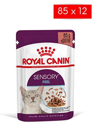 Royal Canin Sensory Feel Gravy 85 Grx12 Adet Kedi Konservesi 