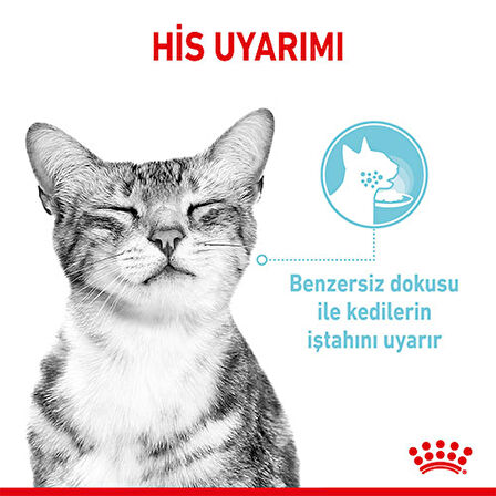 Royal Canin Sensory Feel in Gravy Adult Kedi  Konservesi 85 Gr 