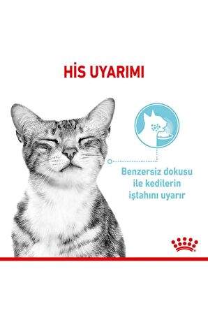 Royal Canin Sensory Feel in Gravy Adult Kedi Konservesi 12X85 