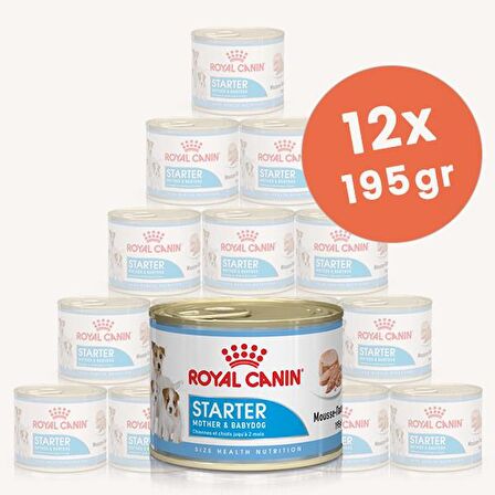 Royal Canin Starter Mousse Anne ve Yavru Köpek Konserve Yaş Maması 12 X 195 gr