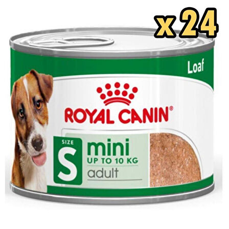 Royal Canin Loaf Mousse Küçük Irk Ezme Yetişkin Köpek Konservesi 195gr x 24 Adet