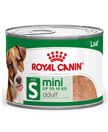 Royal Canin Loaf Mousse Küçük Irk Ezme Yetişkin Köpek Konservesi 195gr